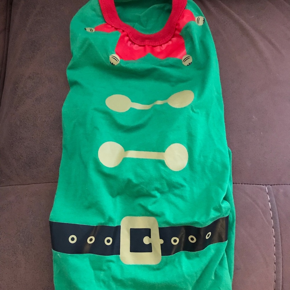 Adorable doggy elf costume.